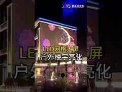 Display di schermo a rete LED flessibile per interni P100 LED Dot Light Transparent