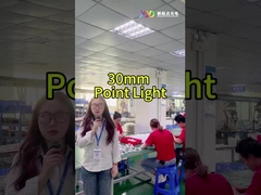 Paesaggio a colori pieni luci a LED Smd5050 IP67 24v per illuminazione di vacanza