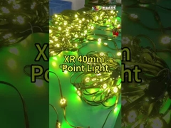 Due LED Package Point Light impermeabile per l'illuminazione dei ponti stradali